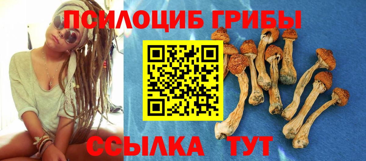 Псилоцибиновые грибы MAGIC MUSHROOMS  Псилоцибиновые грибы ЛСД  Вход с VPN  Всеволожск 
