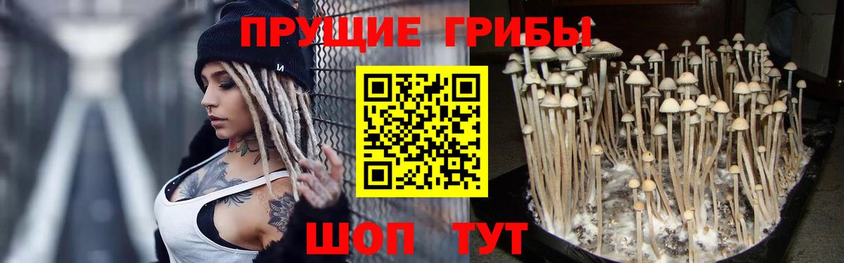 Псилоцибиновые грибы Magic Shrooms Всеволожск